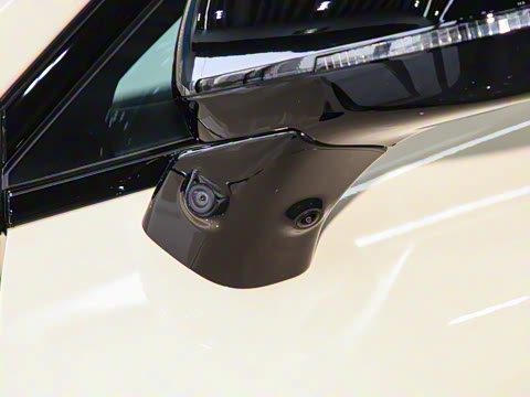 2025�� 520�����״��