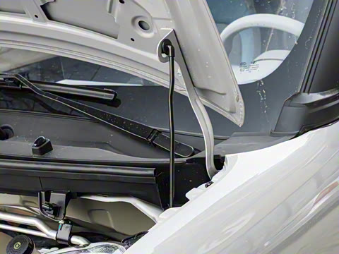 2025�� 201km ���ְ�