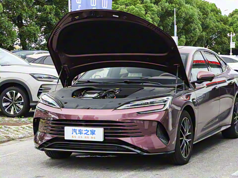 2025�� �Ǽݰ� DM-i 1.5T 125km �콢��