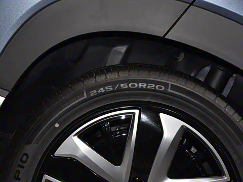 2025�� 135 �����ܼ����״��