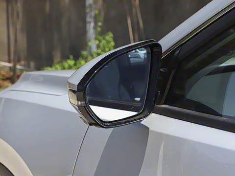 2025�� 205��������������