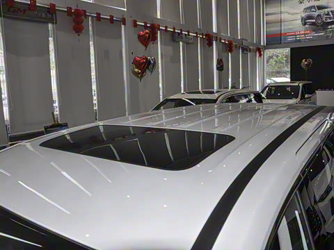 2024�� ��ҫϵ�� 2.0L ���ڰ�