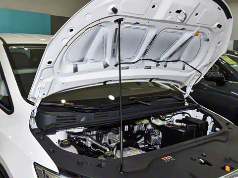 2025�� ��������