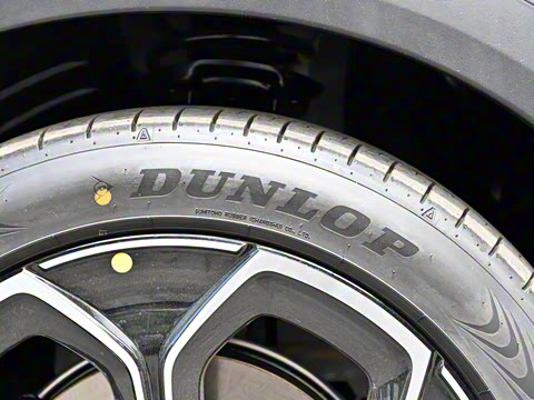 2024�� �Ͷ���������