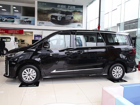 2025�� MAX 2.0T �Զ������� ���� 7��