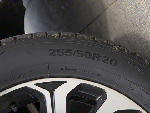 2025�� DM-i 115KM ������