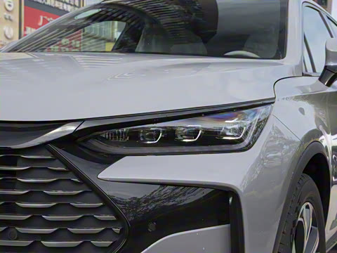 2025�� DM-i 115KM ������