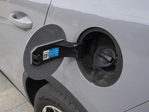 2025�� DM-i 115KM ������