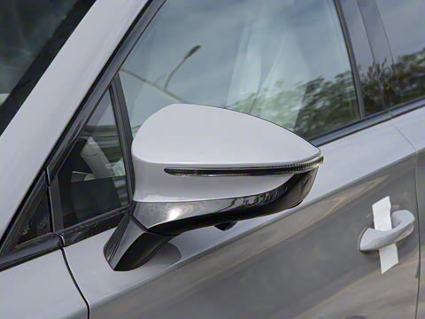 2025�� DM-i 115KM ������