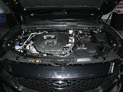 2023�� 2.5L ���а�