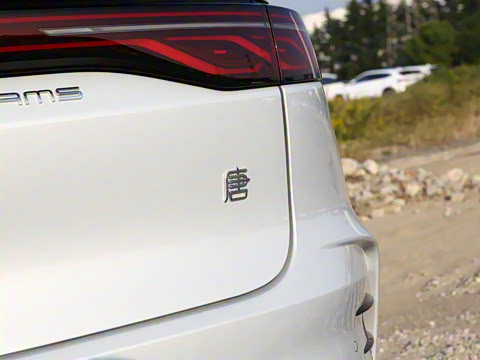 2025�� DM-i 115KM ������