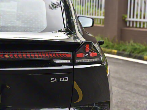 2024�� 530Max�����