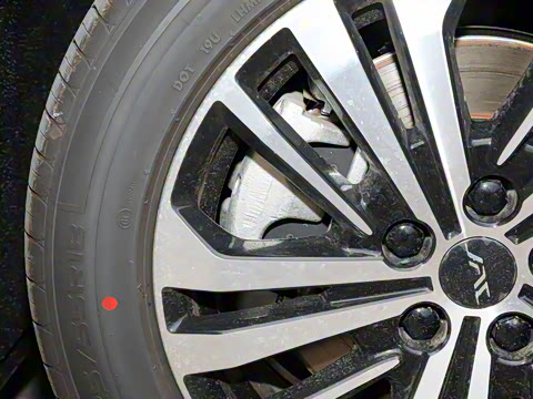 2024�� ������ 2.0T �콢��