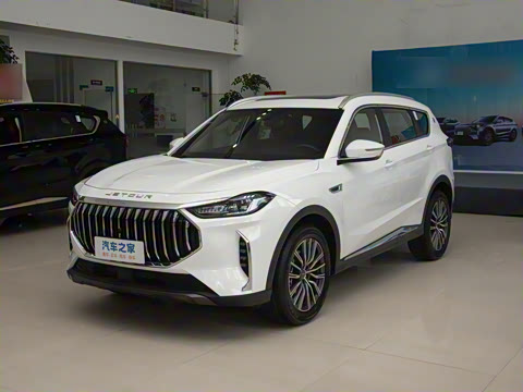 2024�� �ھ��� 1.5T DCT�ھ�MAX 5��