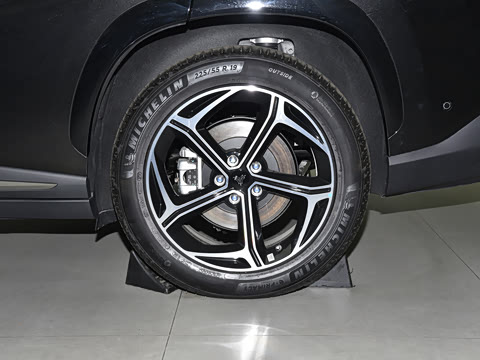 2024�� ���� 310 ����PRO��