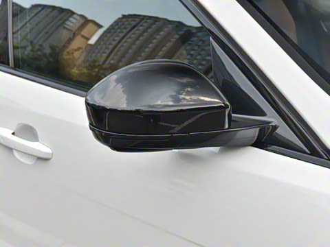 2025�� P250 R-Dynamic SE