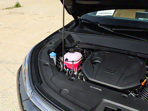 2025�� 55km ̽����