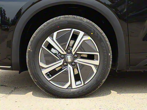 2025�� 55km ̽����