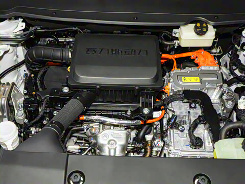 2026�� 165km ������������Max 7��