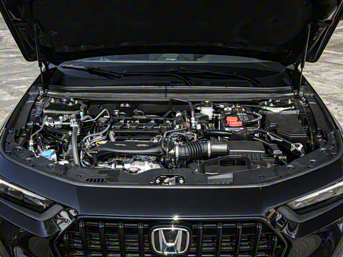 2025�� 260TURBO ���Ű�