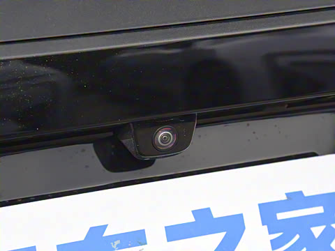 2025�� Max�����