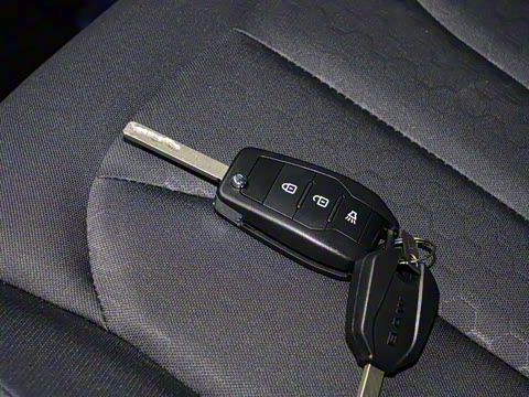 2025�� 2.0L CNG�߼�Ӫ�˰� 9��