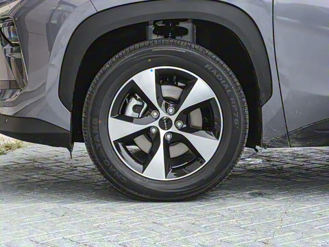 2025�� 512km ���ΰ�