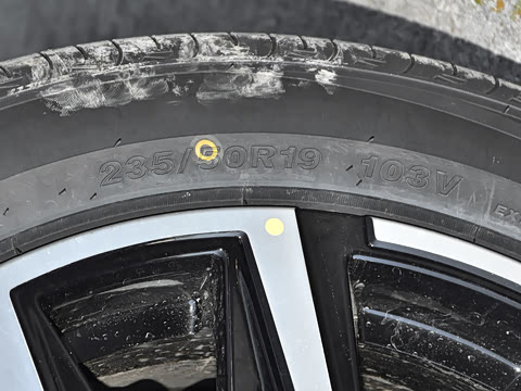 2024�� ���˰� 7��