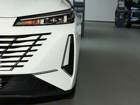 2024�� 1.5T GDI�Զ� �����