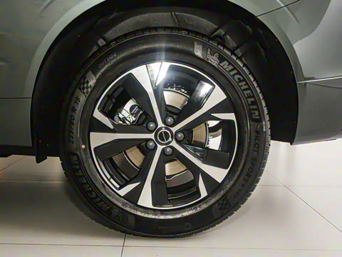 2026�� B5 �������ݺ�����