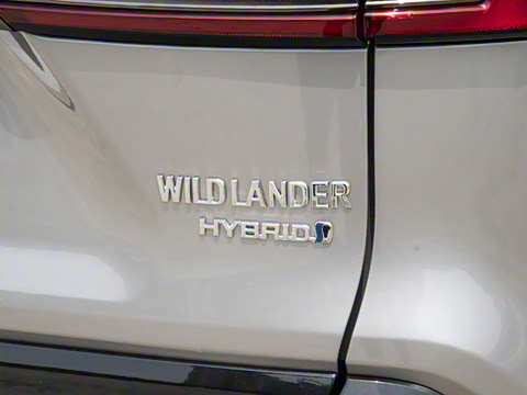 2024�� ˫�� 2.5L E-CVT��������PLUS��