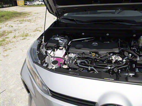 2024�� ˫�� 2.5L E-CVT��������PLUS��