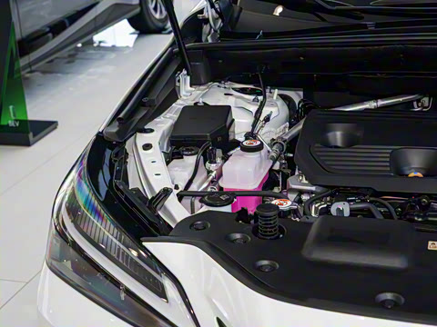 2024�� 350h ȫ�� ���ΰ�