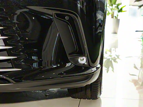 2025�� 350h ����������