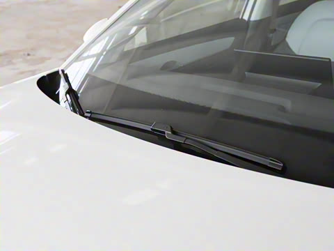 2025�� 445km ���ð�