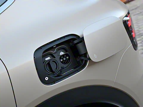 2024�� ������������ ������