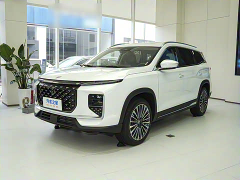 2024�� 1.5TD 2DHT Max 7��