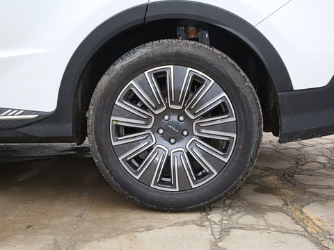 2025�� 1.5T �������Ȱ� 7��