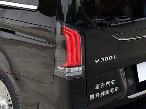 2025�� 2.0T ��άʿ����̩