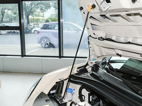 2024�� ֿ���� 330km Lite