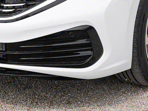 2025�� �Ŀ� 300TSI DSG��Խ��