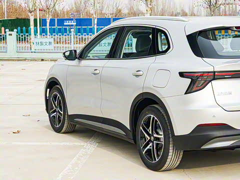 2025�� 425plus ������