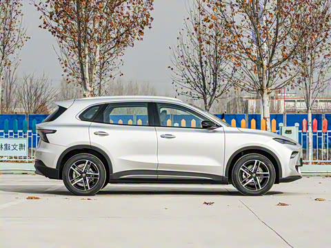 2025�� 425plus ������