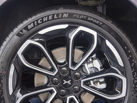 2025�� 725 �������� Max �콢��