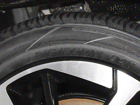 2024�� Younger ��ҫ��