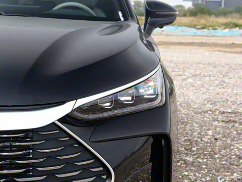 2025�� DM-i 115KM �����콢��