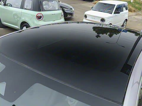 2025�� ���� ����� 230 ������