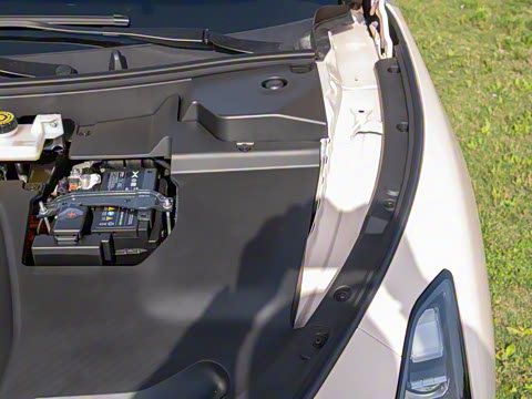 2025�� 502 ������ Max