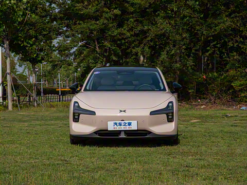 2025�� 502 ������ Max