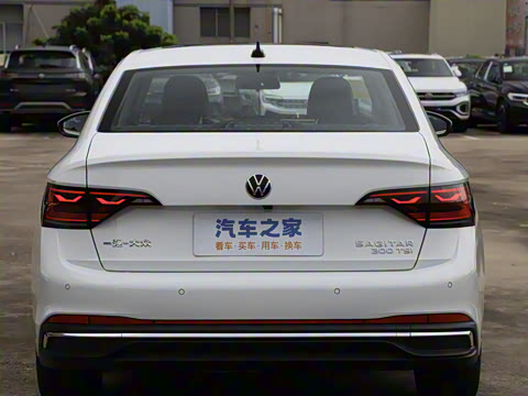 2025�� �Ŀ��� 300TSI DSG��Խ��